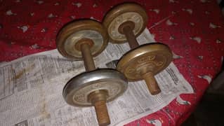 dumbbells pair for sale