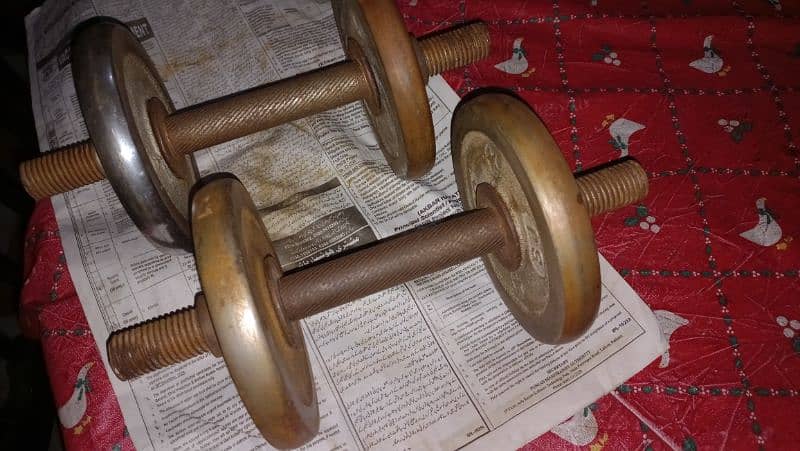 dumbbells pair for sale 1