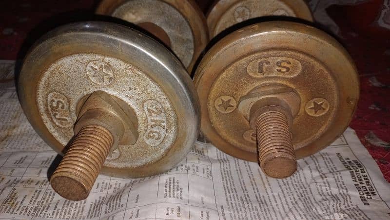 dumbbells pair for sale 2