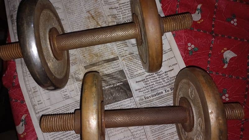 dumbbells pair for sale 4