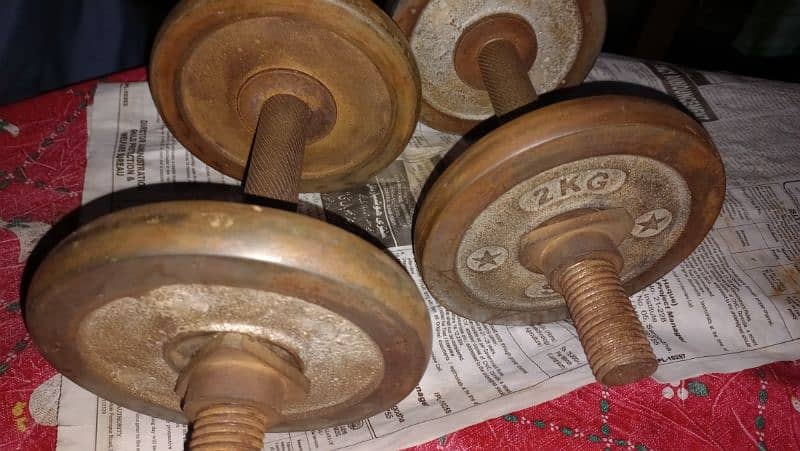 dumbbells pair for sale 5