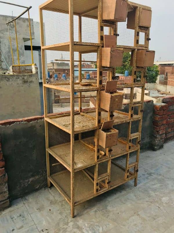 wooden cage for sale 10 portion with 9/10 box 2