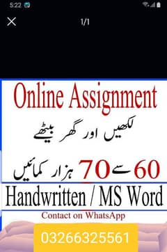 assignment work and date entry jobs contact only WhatsApp 03266325561