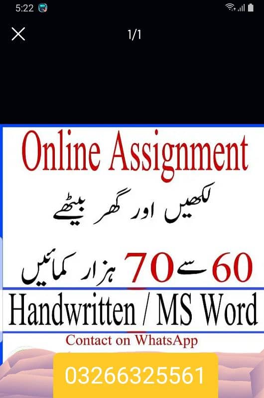 assignment work and date entry jobs contact only WhatsApp 03266325561 0