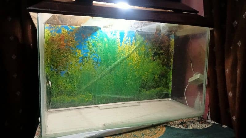 Fish Aquarium 10/10 condition 1