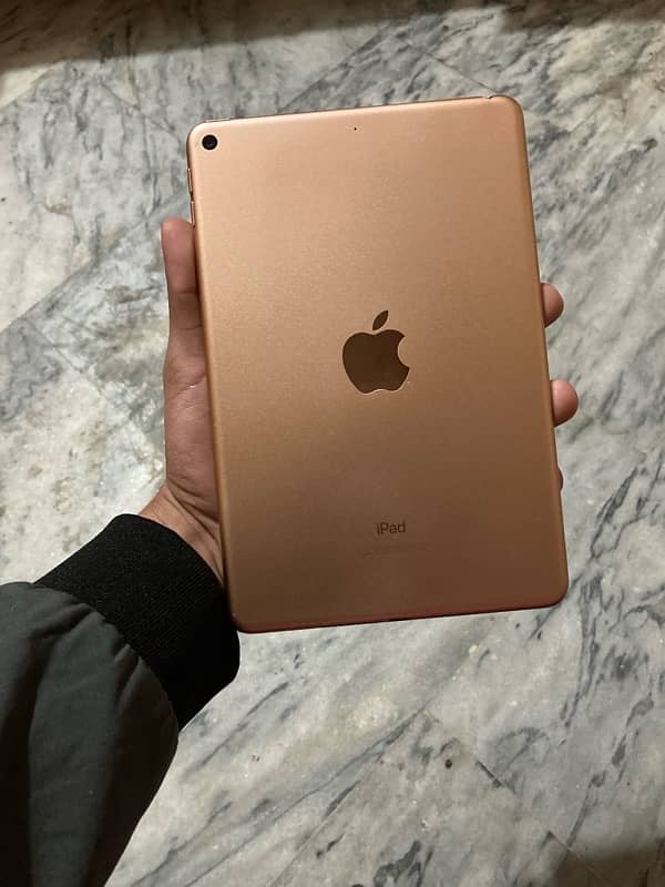 Ipad Mini5 0