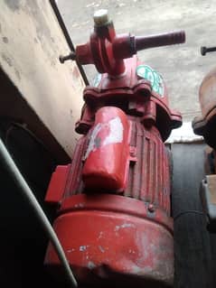 rooter pump motor 03042914462