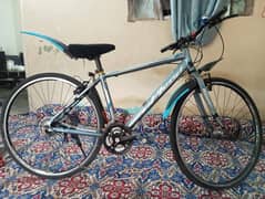 Mountain Bike Shimano Upland City Cross