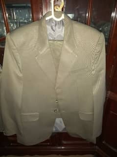 Paint Coat Suits and waist coat