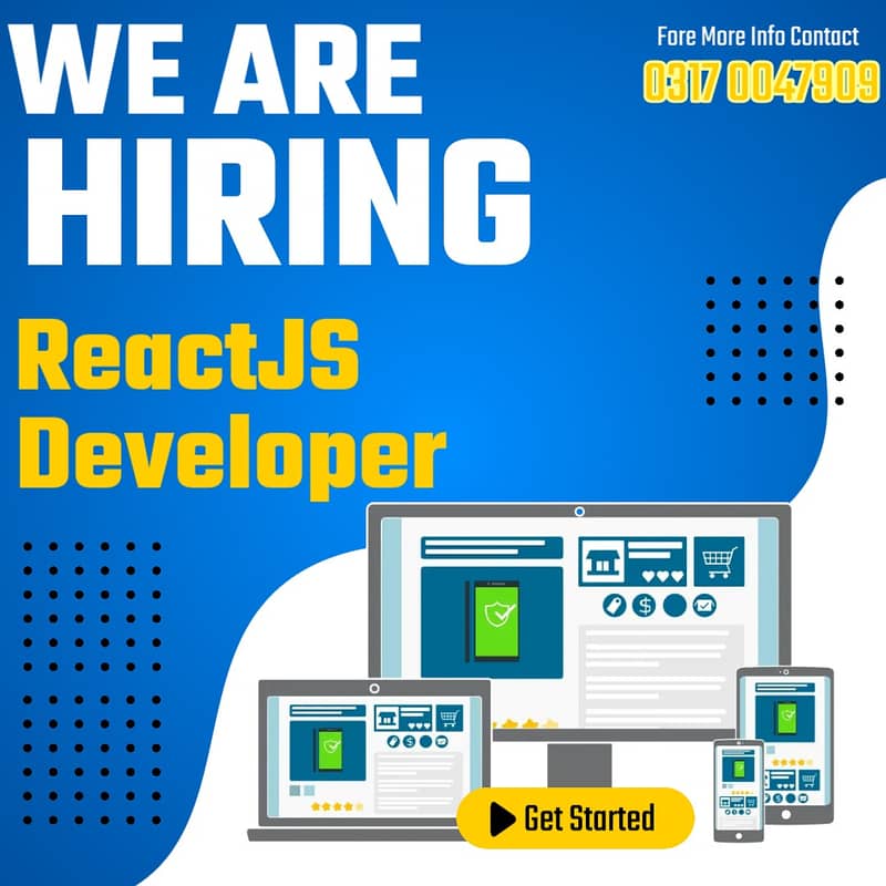 React Js Developer 0