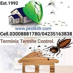 Termite/Deemak