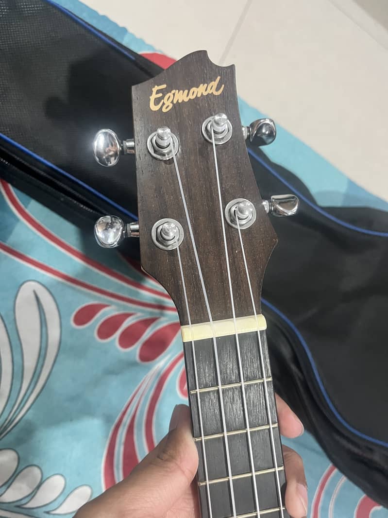 Egmond brand ukulele 2