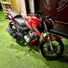 Super Power SP 150 Archi 2022