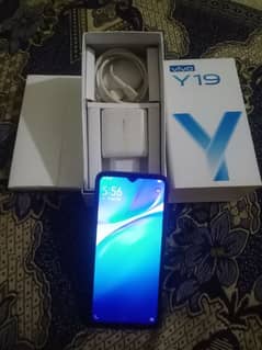 Vivo y 19