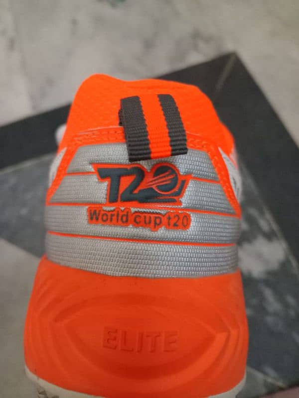 T20 cricket sticks shoes 0