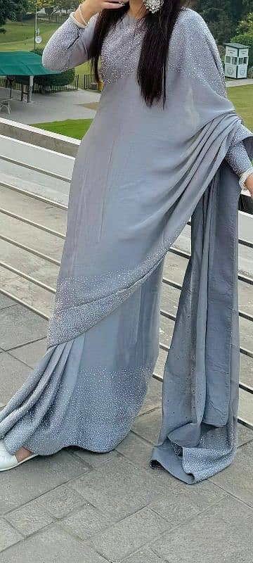 saree in silver 3