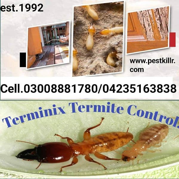 Termite/Deemak control/Pest Control/ Dangi Mosquito  fumigation  spray 1