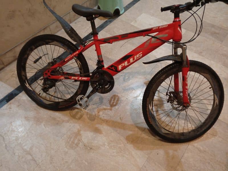 Mountain bicycle for sale 2