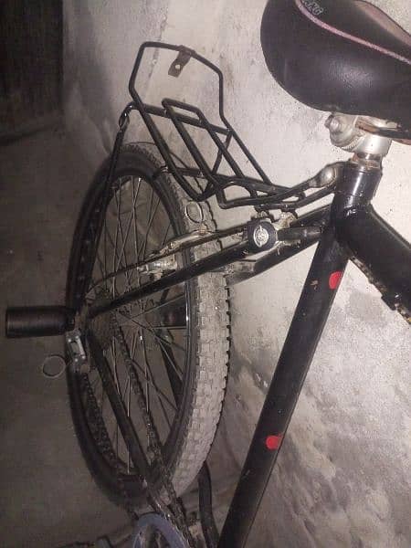 Phoenix Bicyce 2