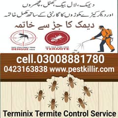 Termite