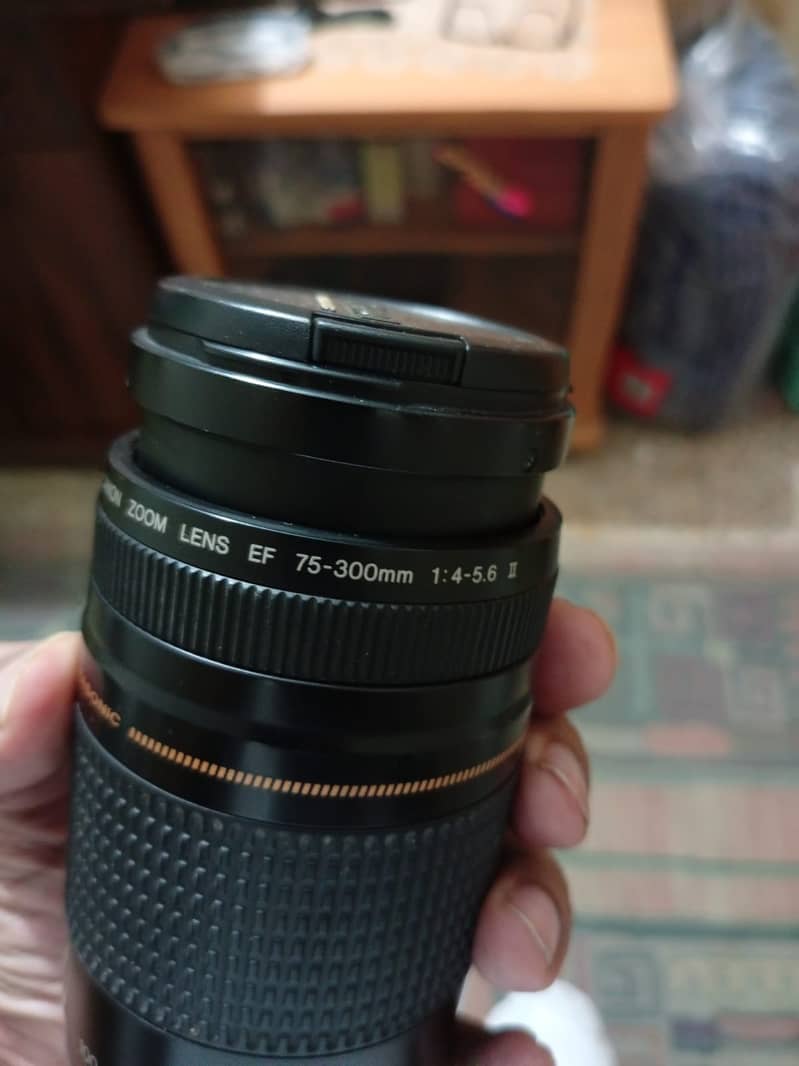 Canon EF 75-300mm f/4-5.6 Ultrasonic II USM 2