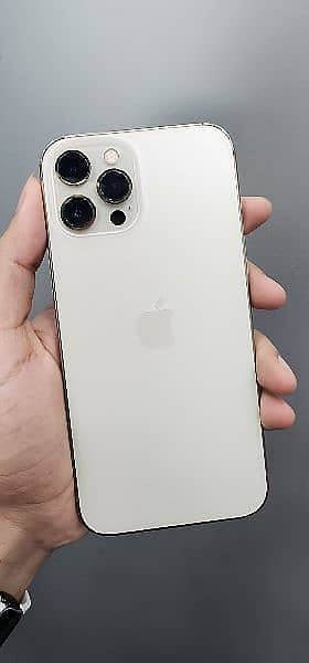 Apple iPhone XR 1