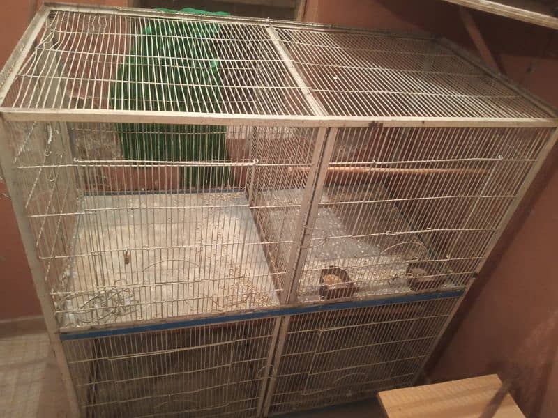 4 cage best condition 1