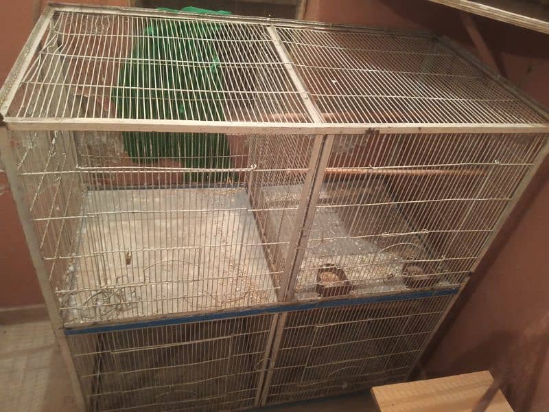 4 cage best condition 2