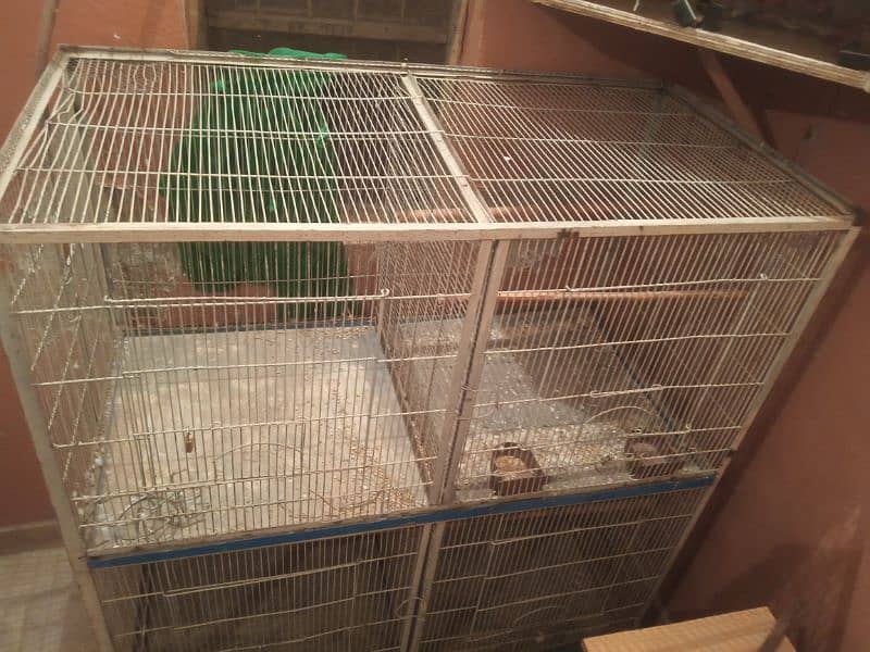 4 cage best condition 3