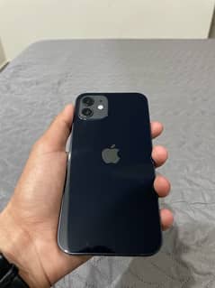 iphone 12 (dual pta approved)