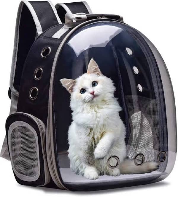 cat traveling bag 0