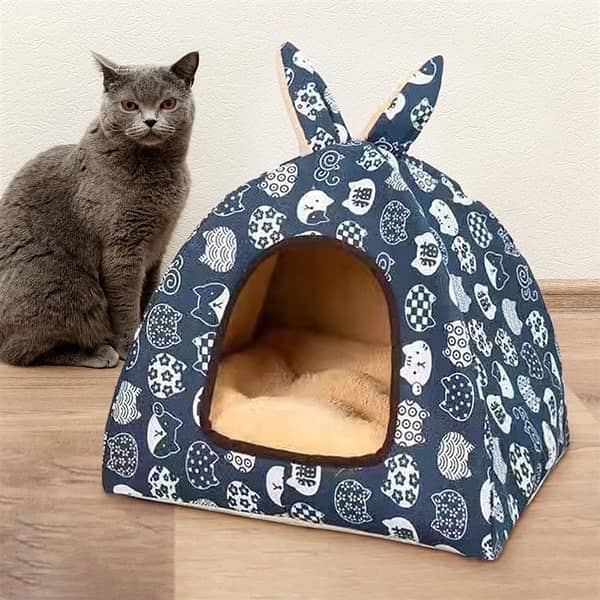 cat home 2