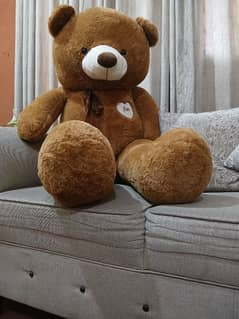 TEDDY BEAR