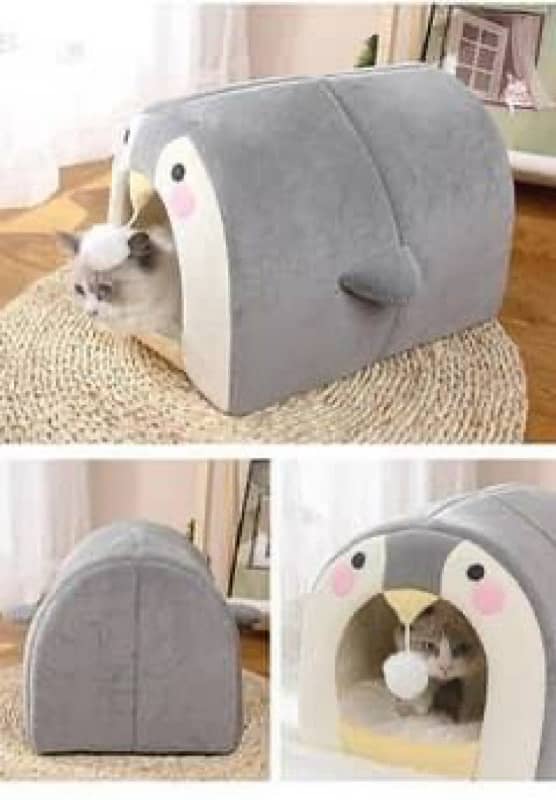 cat home 0