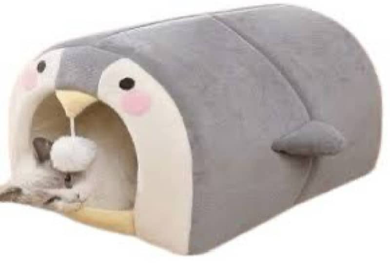 cat home 1