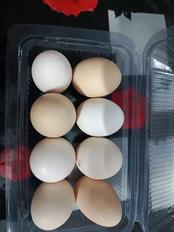 Desi Eggs of Home grown Hens 1