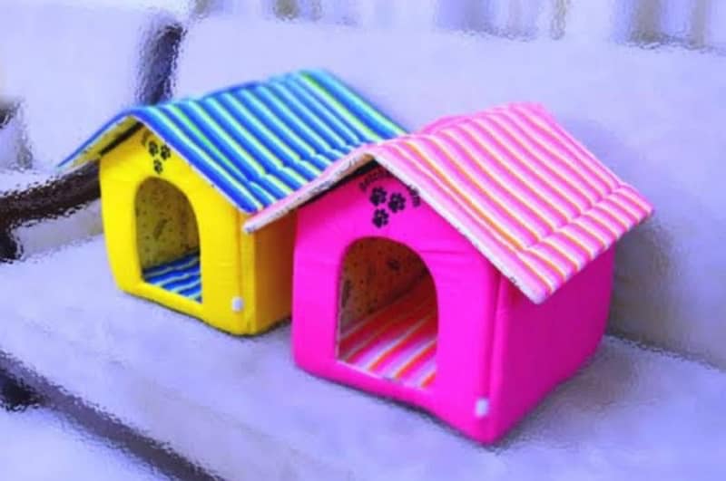 cat home 1