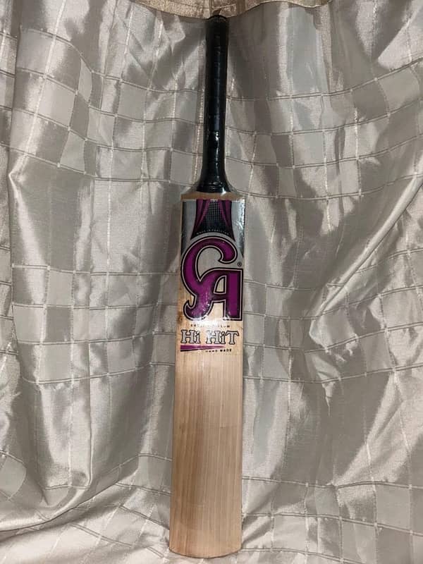 Hard Ball Bat 1