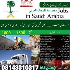 Saudi Arabia Job / Jobs in Saudia / vacancies Available