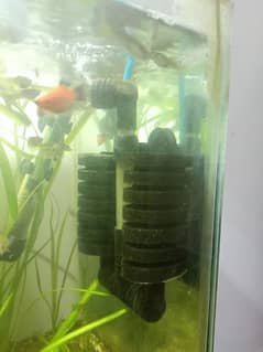 Sponge Filter (doesn't stick well) and Air Pump