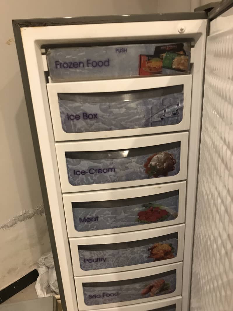 Dawlance Deep Freezer 0