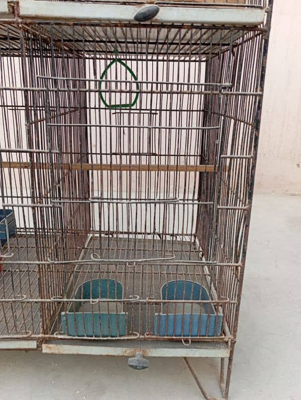 Cage For Sale 2