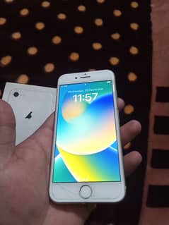 iphone 8 non pta white colour