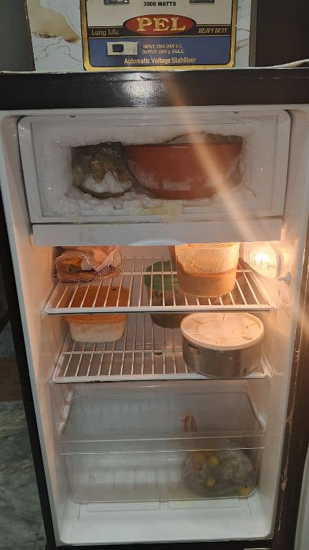 Pel room fridge for sale 1