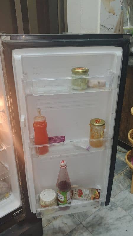 Pel room fridge for sale 2