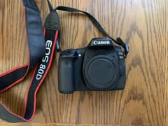 Canon EOS 80D Camera Dslr My whatsp 0341:5968:138