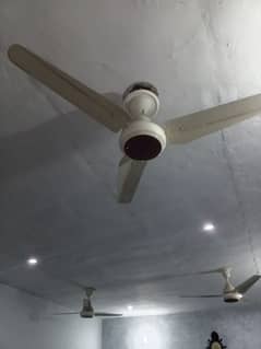 Celling fan for sale used only 1 month