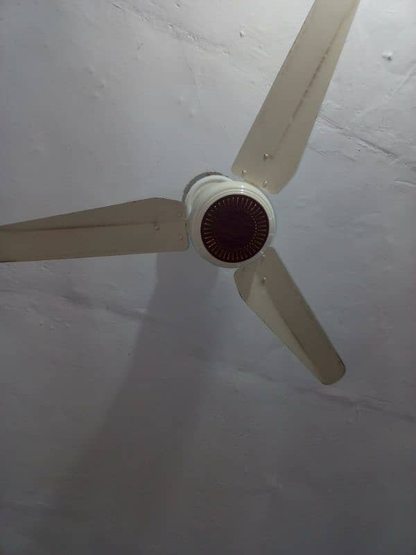 Celling fan for sale used only 1 month 1