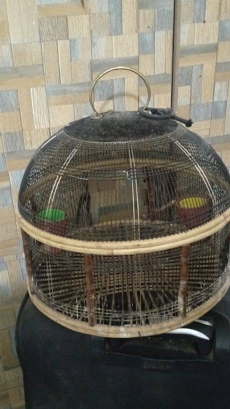 cages and breading boxes available for sale 0