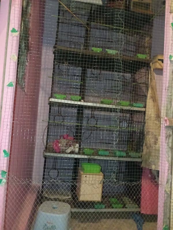 Parrot cage 2